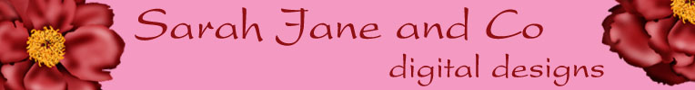 Sarah Jane and Co